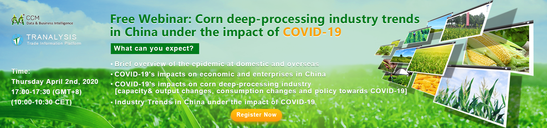 Experts' review on the corn industry in China under the impact of COVID_19